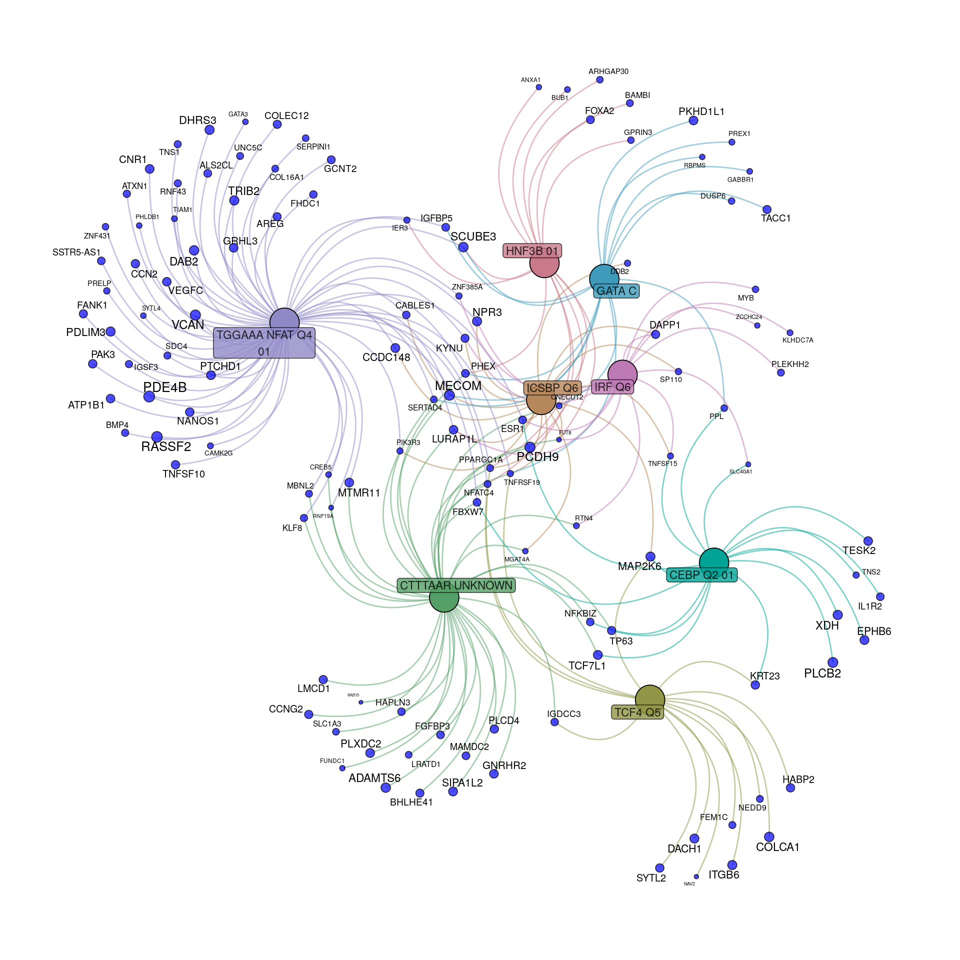 *Transcriptional regulatory gene-sets enriched within the 472 down-regulated genes to an FDR of 0.05. For genes, node and label size are proportional to the extent of the estimated fold-change.*