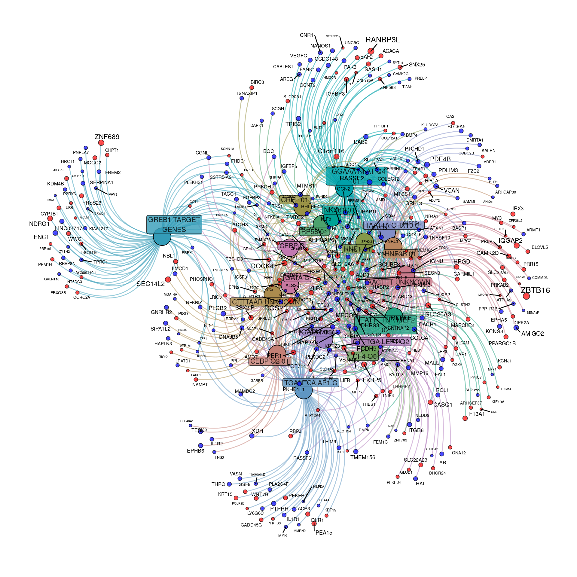 *Transcriptional regulatory gene-sets enriched within the DE genes to an FDR of 0.01. Up-regulated genes are shown in red, with down-regulated in blue. For genes, node and label size are proportional to the extent of the estimated fold-change.*