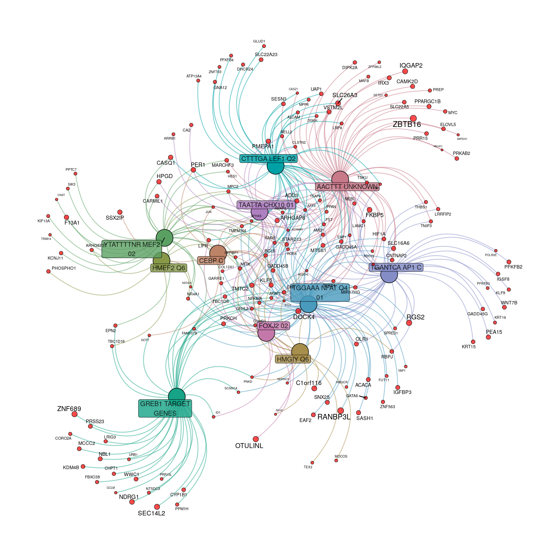 *Transcriptional regulatory gene-sets enriched within the 384 up-regulated genes to an FDR of 0.05. For genes, node and label size are proportional to the extent of the estimated fold-change.*
