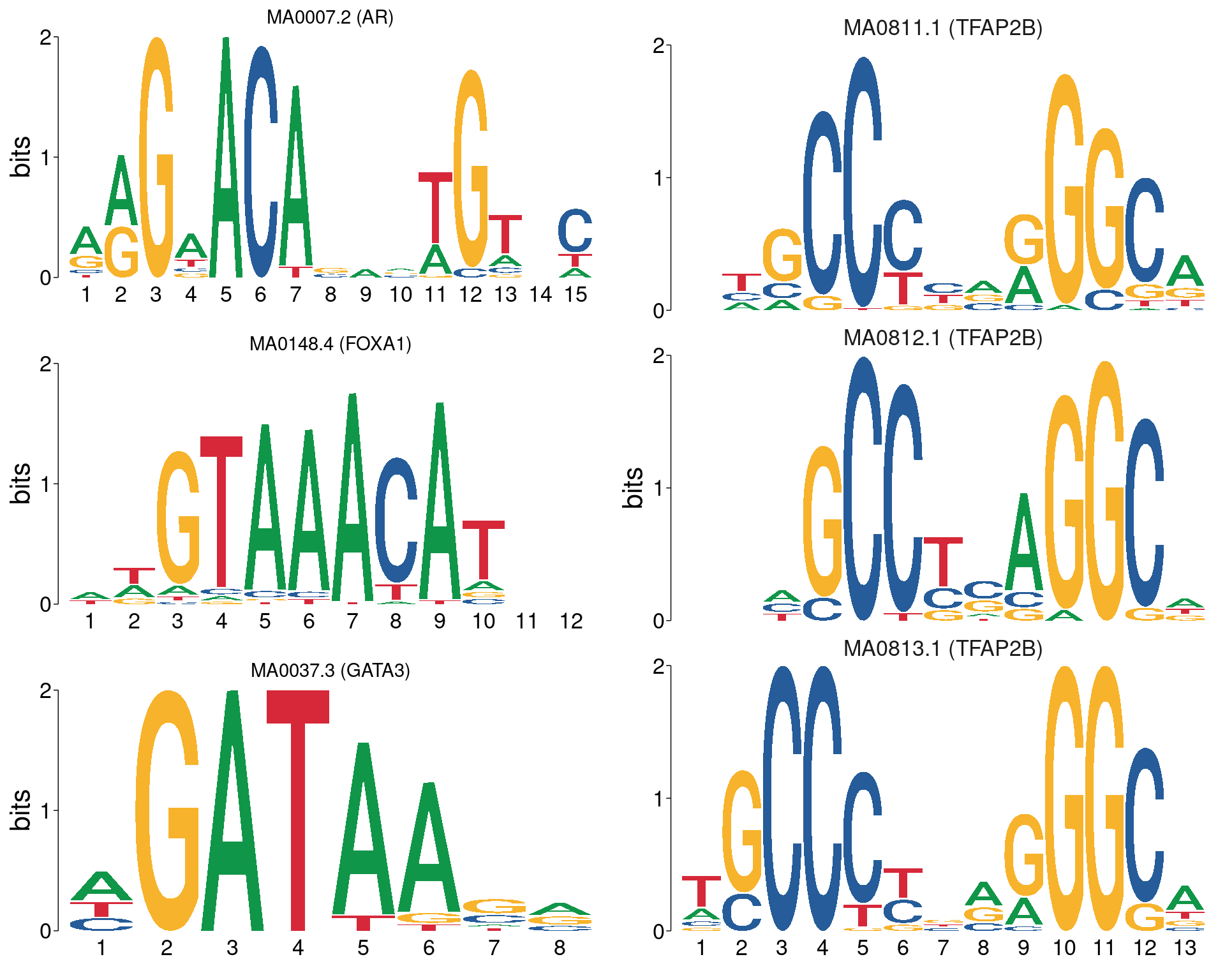 All motifs matching the set of ChIP targets. AR, FOXA1 and GATA3 are not aligned with each other, whilst all TFAP2B motifs are shown using the best alignment to each other.